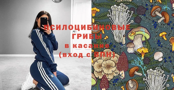 не бодяженный Абаза