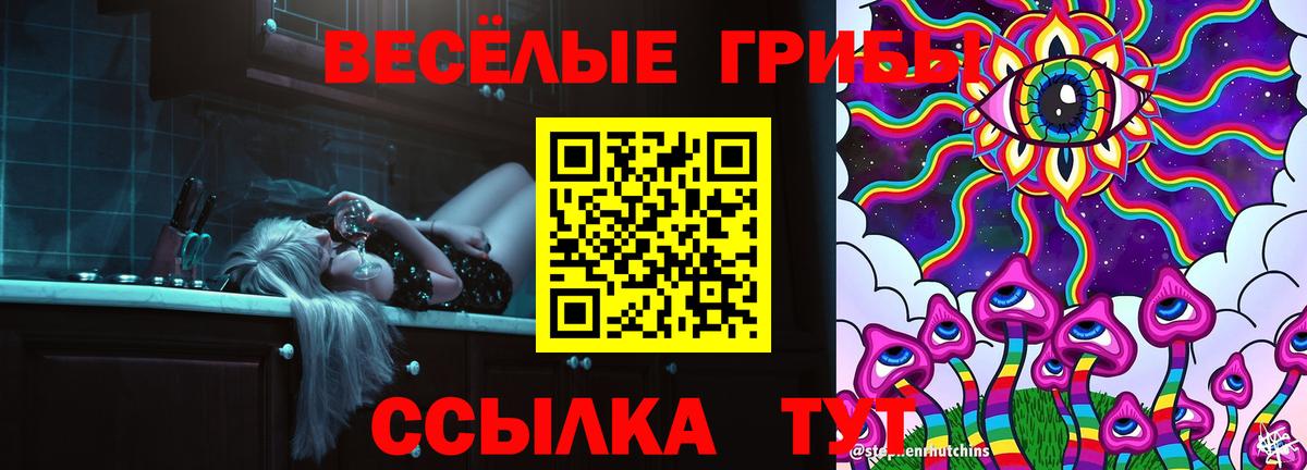 Знаменск  Галлюциногенные грибы Psilocybine cubensis  Галлюциногенные грибы Magic Shrooms  Вход с VPN 