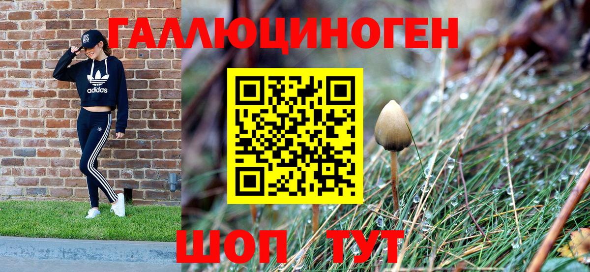 Галлюциногенные грибы Magic Shrooms Знаменск